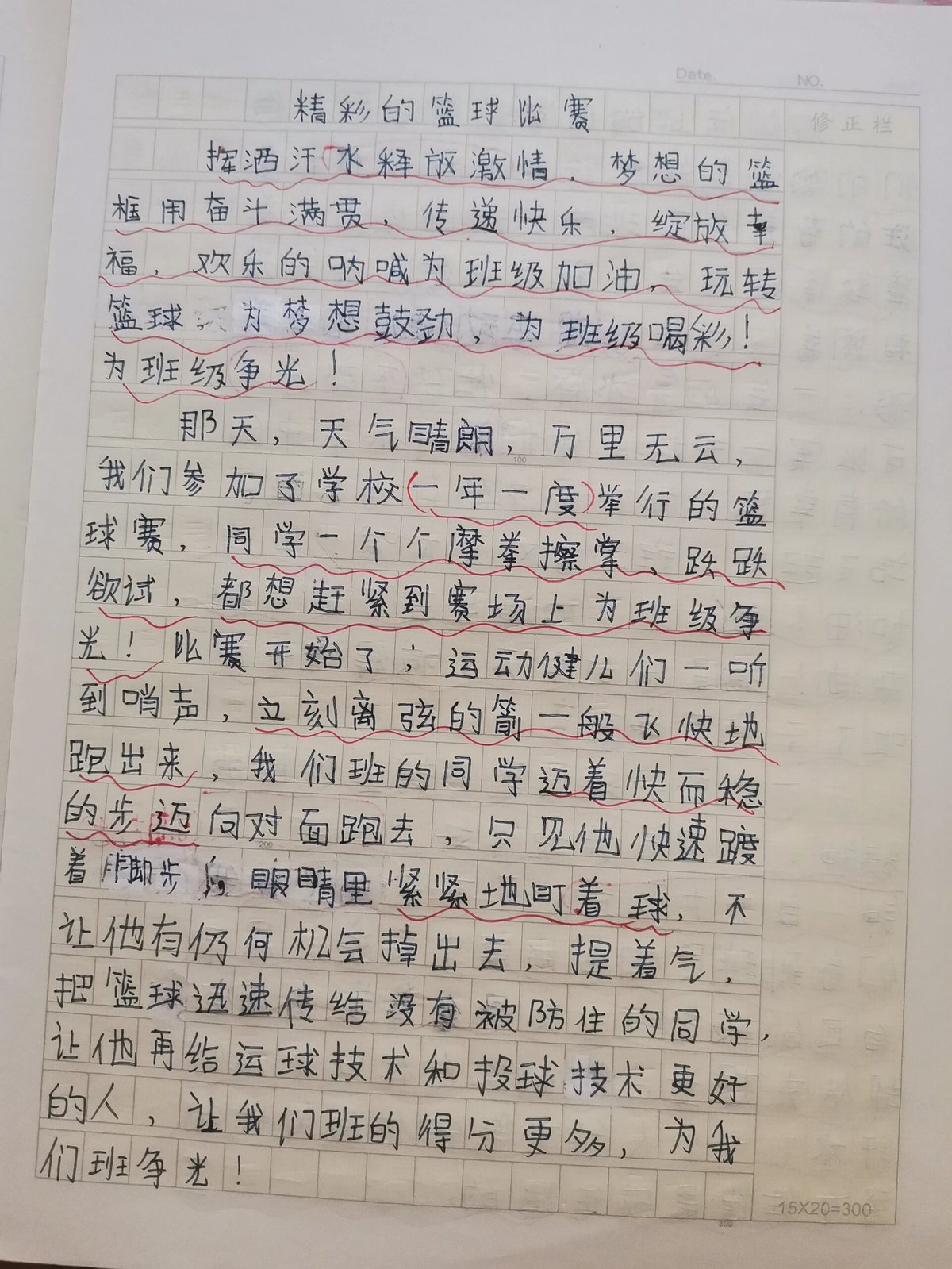 篮球训练心得300字左右怎么写